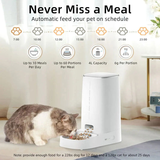 Automatic Pet Feeder - Pawsy Vibe