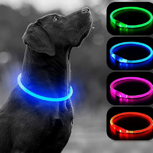 Dog glow collar - Pawsy Vibe