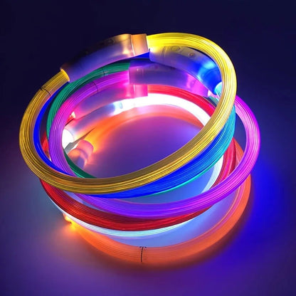 Dog glow collar - Pawsy Vibe