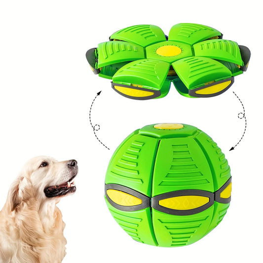 Frisbee pet ball - Pawsy Vibe