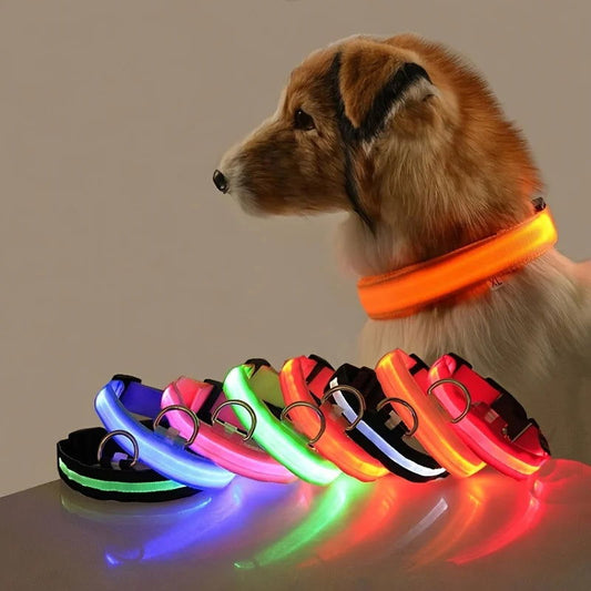 LED Night Collar - Pawsy Vibe