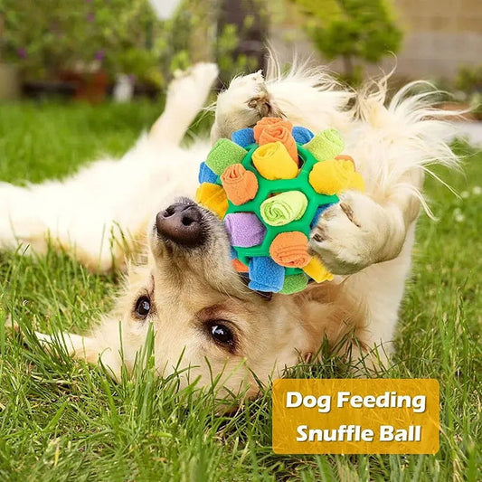 Pet Smell-Fried Ball Toy - Pawsy Vibe