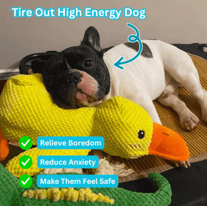 Calming Duck Dog Toy