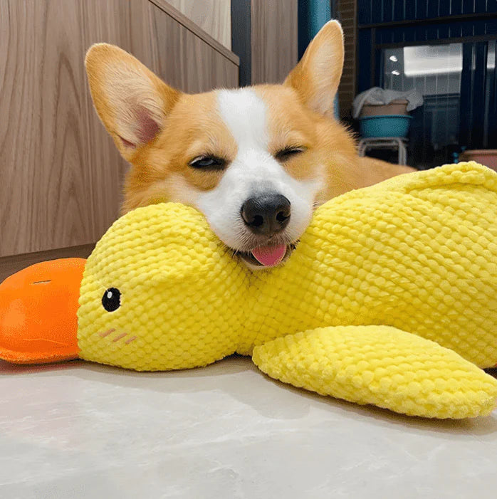 Calming Duck Dog Toy