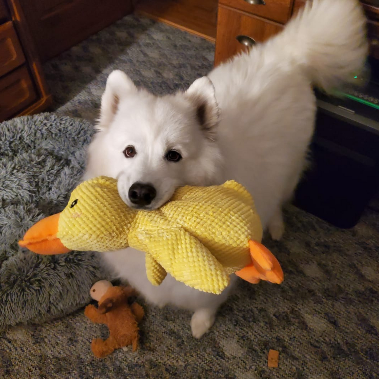 Calming Duck Dog Toy